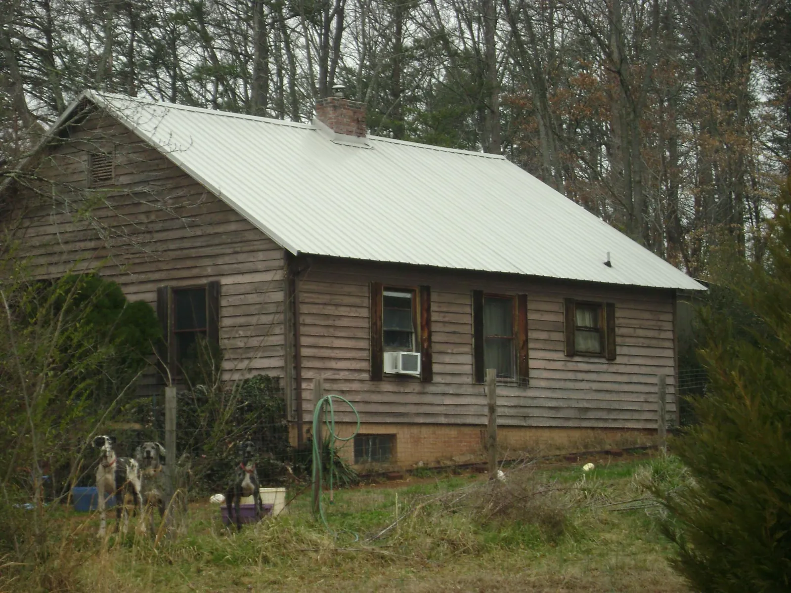 White metal roof on an old wood sided farmhouse, from a Asphalt Shingle Roof Repair job in Manning